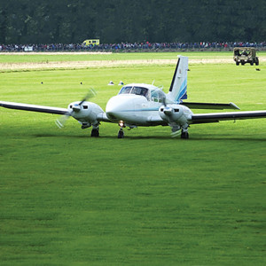 Grass Seed for Airfield Grassland