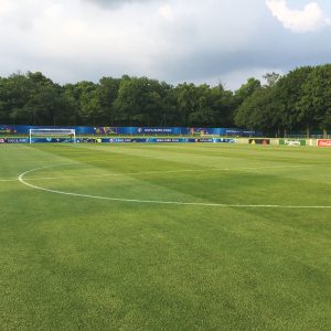 Grass Seed for Playing Fields Products Rigby Taylor