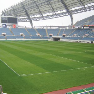 Grass Seed for Stadiums