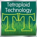 Grass Seed with Tetraploid Technology