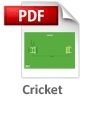 Download Line Marking Measurements - Cricket